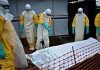 Ebola en Ituri: Un premier patient guéri redonne espoir à la RDC