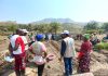 Tanganyika : la FAO renforce les capacités des producteurs maraîchers pour une agriculture plus productive