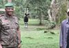 Ituri : Gaby Kasongo et Max Nissan visitent l’okapi au parc d’Epulu
