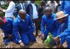 Tshuapa : Mohindo Nzangi lance la culture du cacao à Mpombi et promet des intrants