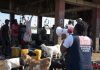 Ebola : les acteurs de la chaîne animale appelés à renforcer les mesures de prévention à Bunia