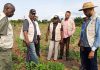 Kasaï Central : Toto Kabongo dresse un bilan positif du programme PIFORES